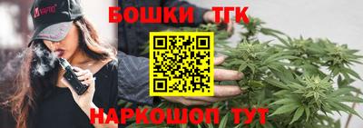 тгк Партизанск