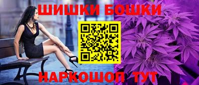 индика Обь