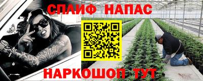 индика Обь
