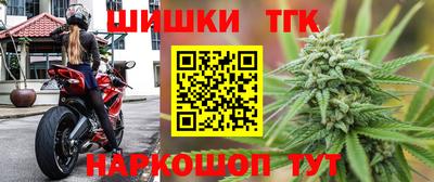 индика Обь