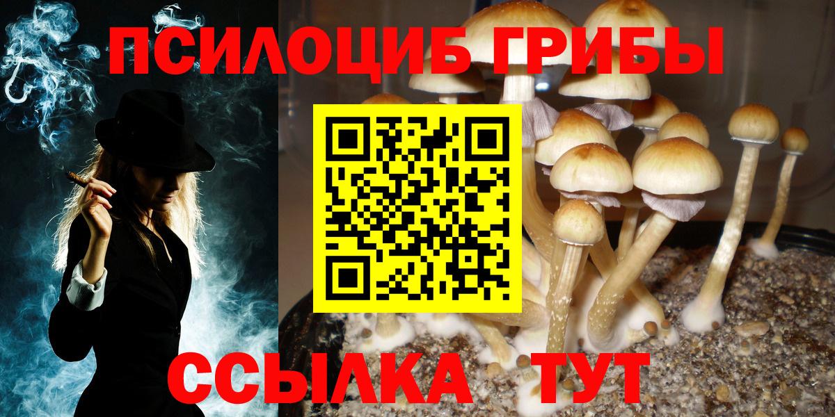 Псилоцибиновые грибы ЛСД Тайшет